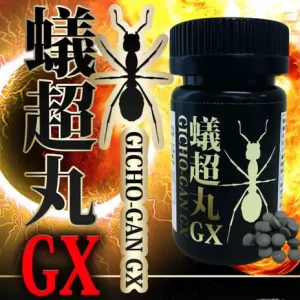 日本進口 蟻超丸GX 底氣十足 高濃度縮度馬精華大丸活力 精胺痠 60粒EO  台灣官網正品